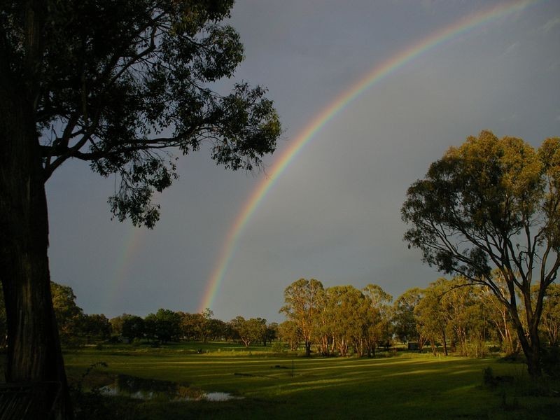 1197 Torrington Road, Deepwater NSW 2371