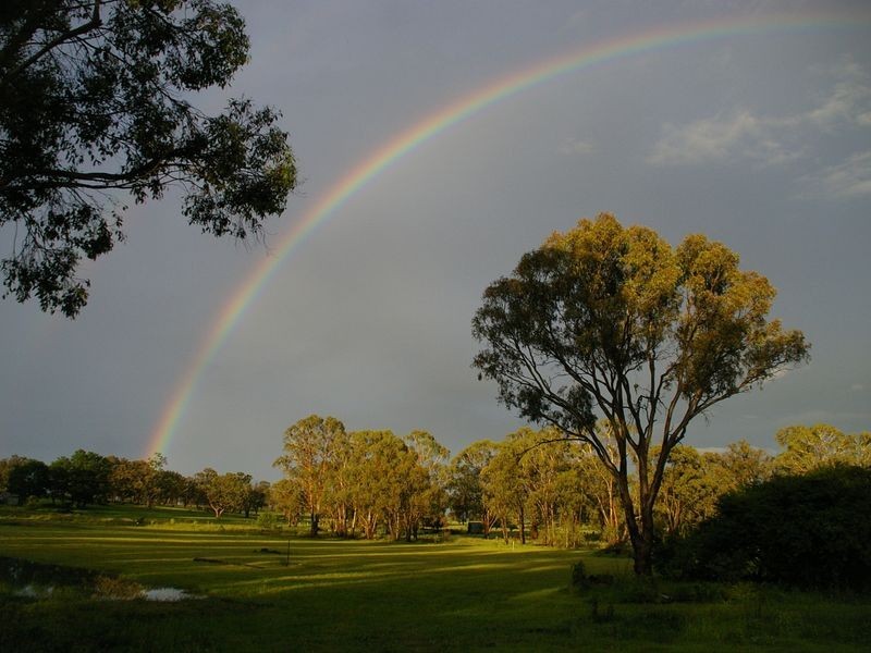 1197 Torrington Road, Deepwater NSW 2371