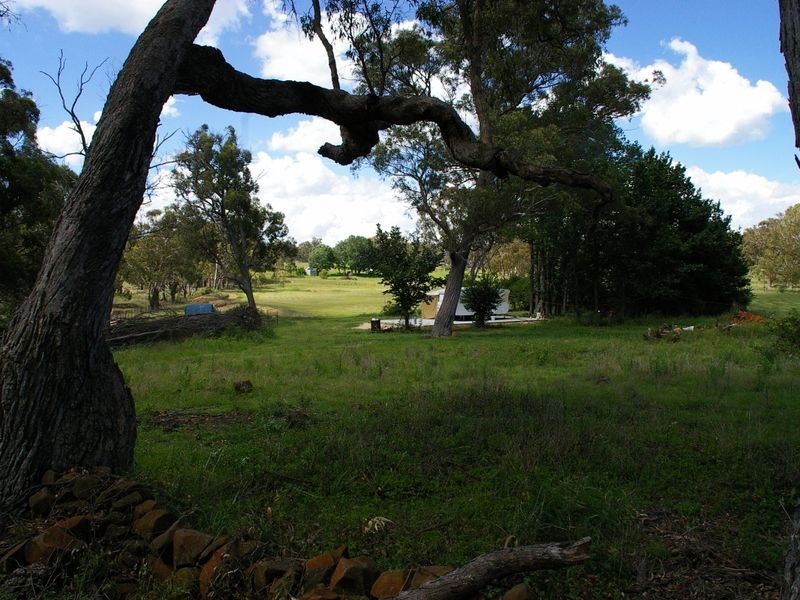 1197 Torrington Road, Deepwater NSW 2371