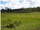 1197 Torrington Road, Deepwater NSW 2371