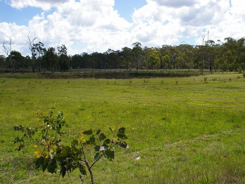 1197 Torrington Road, Deepwater NSW 2371