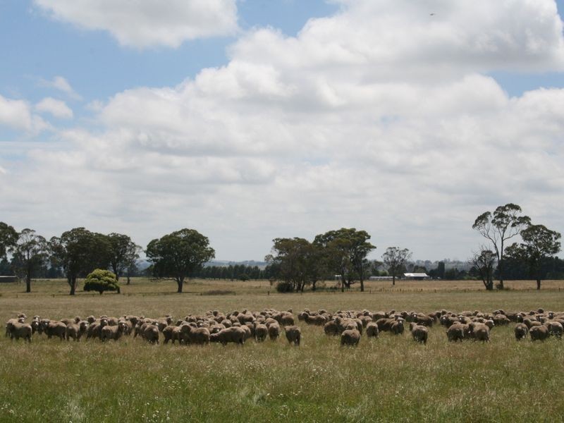 181 Glen Legh Road, Glen Innes NSW 2370