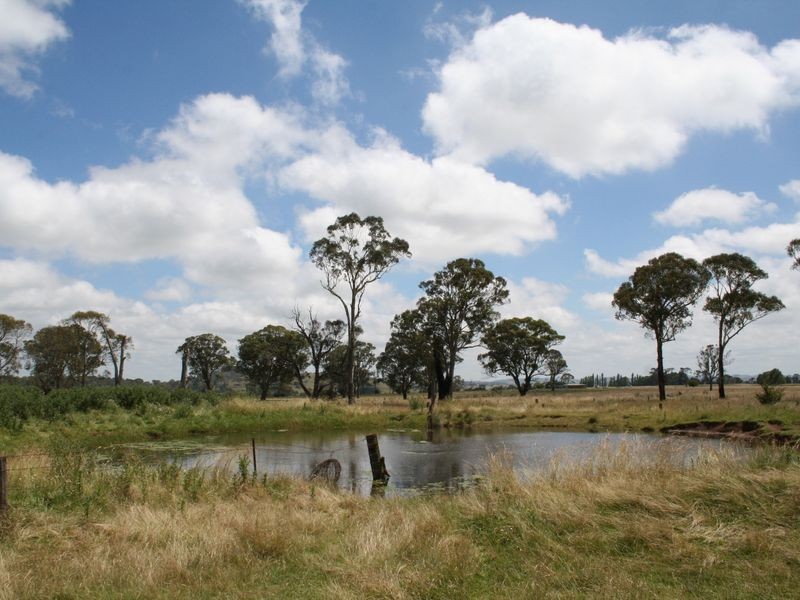 181 Glen Legh Road, Glen Innes NSW 2370