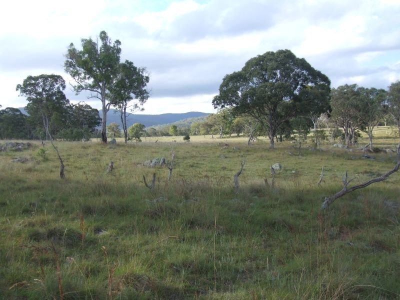 126/40612 Tenterfield Creek, Tenterfield NSW 2372
