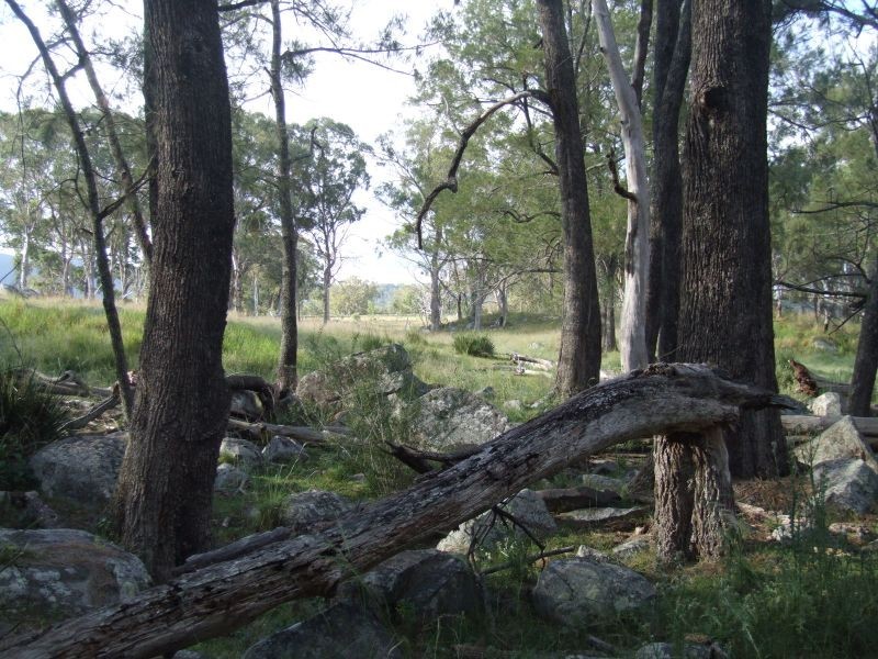122/751339 Tenterfield Creek, Tenterfield NSW 2372