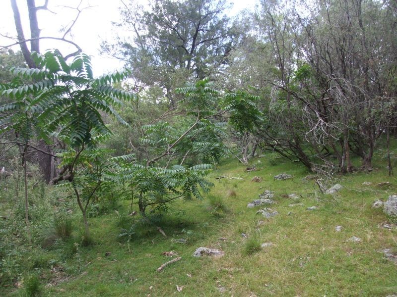 122/751339 Tenterfield Creek, Tenterfield NSW 2372