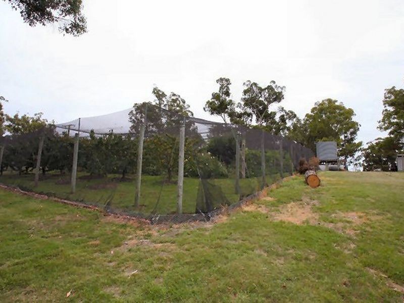 664 Currs Road, Bolivia NSW 2372