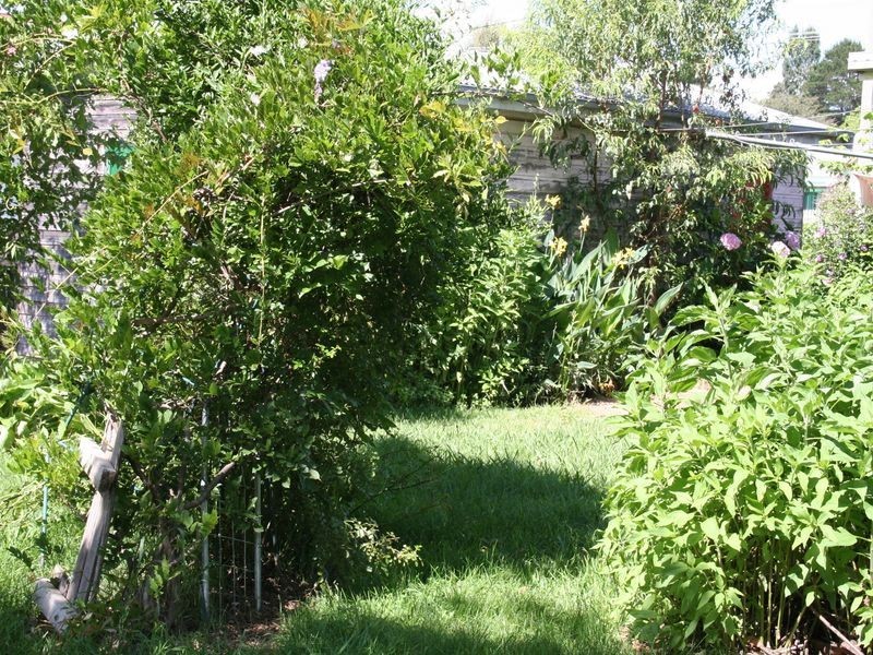 36 Church Street, Glen Innes NSW 2370