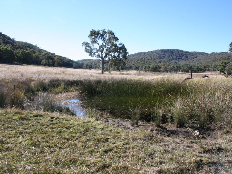 1/1090604 Torrington Road, Stannum NSW 2371