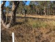 Lot 1 &20 Middle Street, Wellingrove NSW 2370