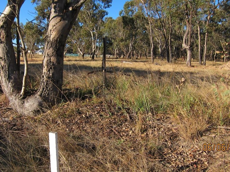 Lot 1 &20 Middle Street, Wellingrove NSW 2370