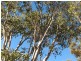 Lot 1 &20 Middle Street, Wellingrove NSW 2370