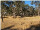 Lot 1 &20 Middle Street, Wellingrove NSW 2370