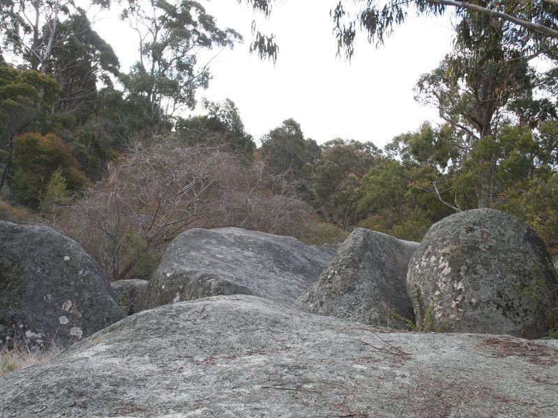 9971 New England Highway, Glen Innes NSW 2370
