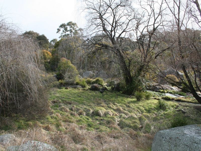 9971 New England Highway, Glen Innes NSW 2370