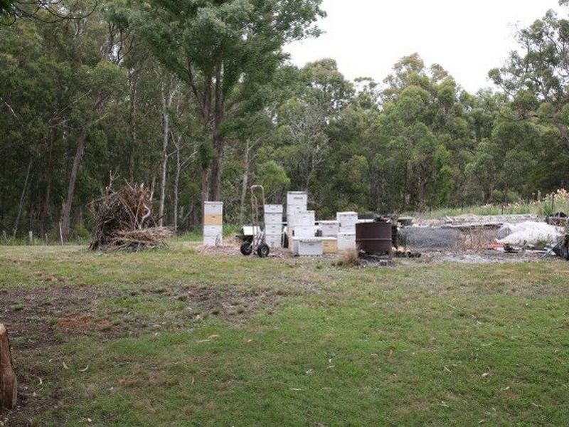 664 Currs Road, Bolivia NSW 2372