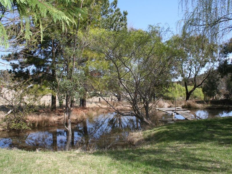 2787 Bates Road, Torrington NSW 2371