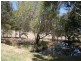 2787 Bates Road, Torrington NSW 2371