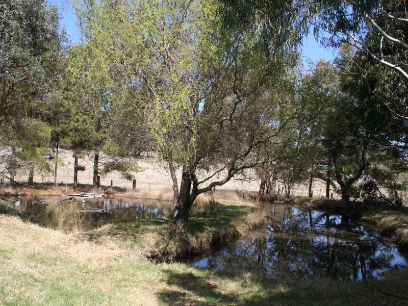2787 Bates Road, Torrington NSW 2371