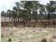 MAROWEN Square Range Road, Pinkett NSW 2370