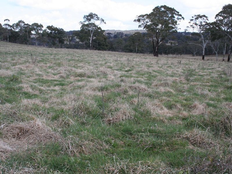 MAROWEN Square Range Road, Pinkett NSW 2370