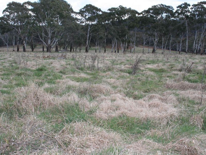 MAROWEN Square Range Road, Pinkett NSW 2370