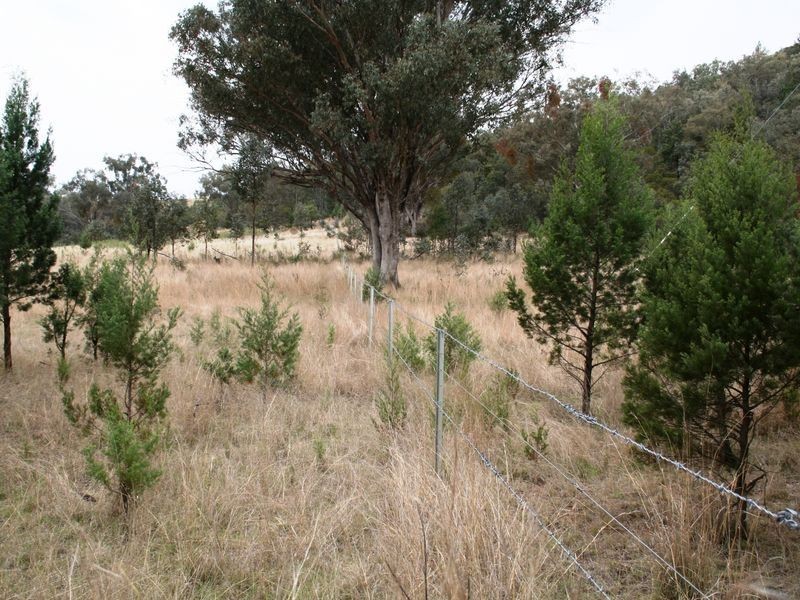 9/786586 Rocky Creek Road, Bonshaw NSW 2361