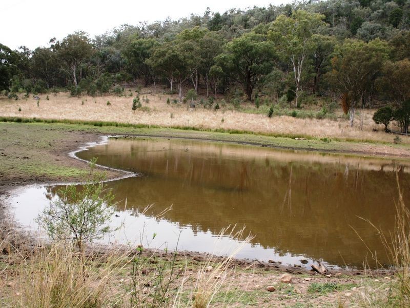 9/786586 Rocky Creek Road, Bonshaw NSW 2361