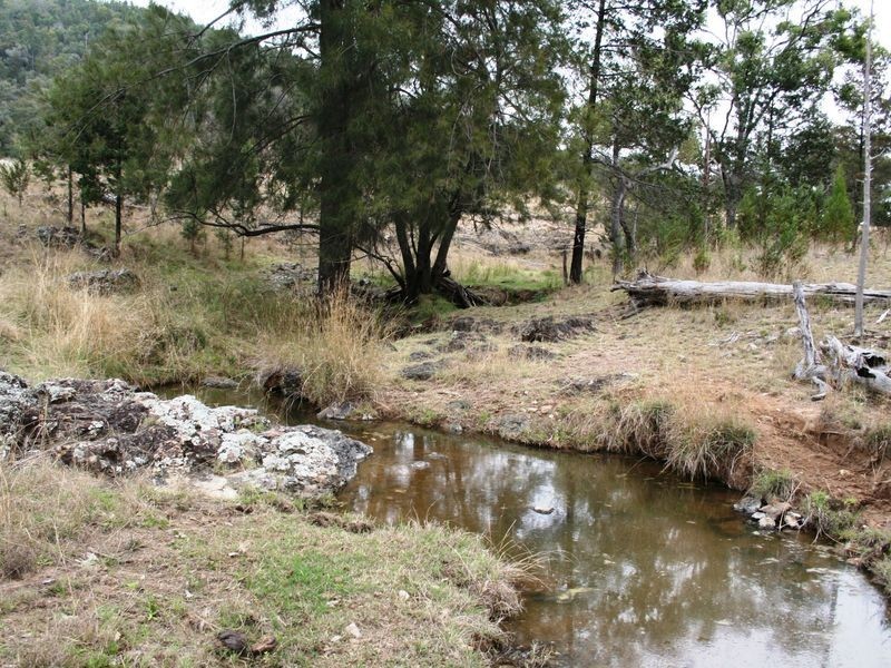 9/786586 Rocky Creek Road, Bonshaw NSW 2361