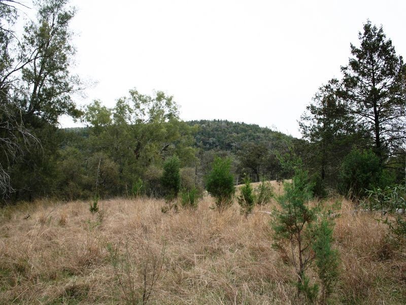 9/786586 Rocky Creek Road, Bonshaw NSW 2361