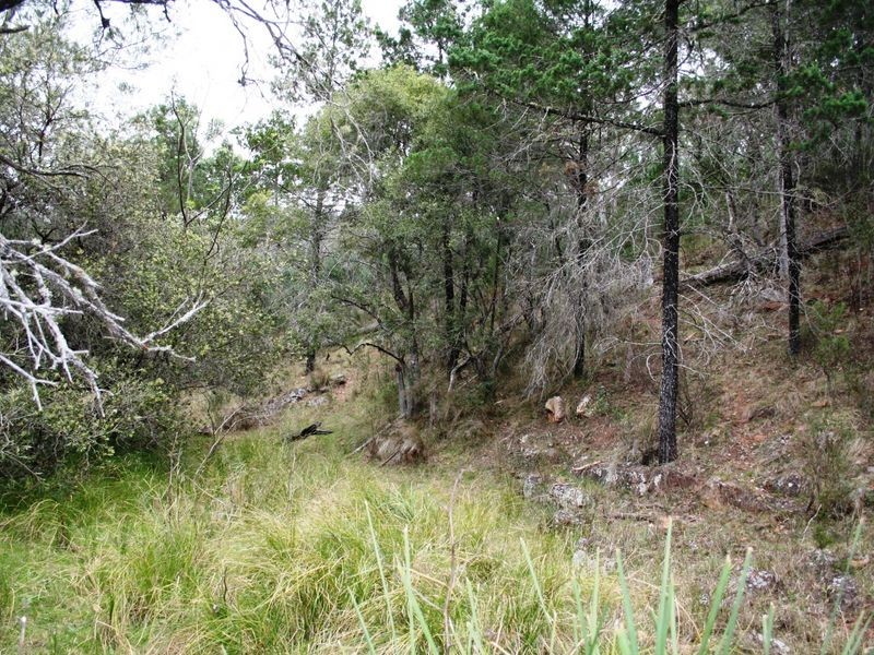 9/786586 Rocky Creek Road, Bonshaw NSW 2361