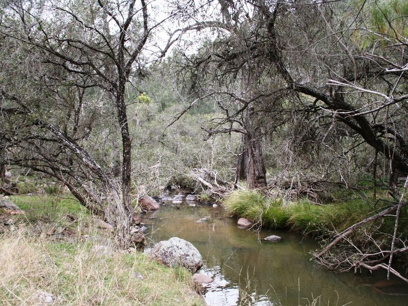 9/786586 Rocky Creek Road, Bonshaw NSW 2361