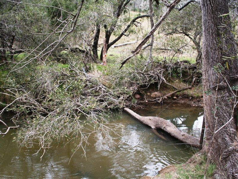 9/786586 Rocky Creek Road, Bonshaw NSW 2361