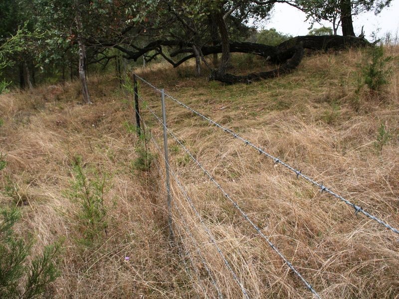 9/786586 Rocky Creek Road, Bonshaw NSW 2361