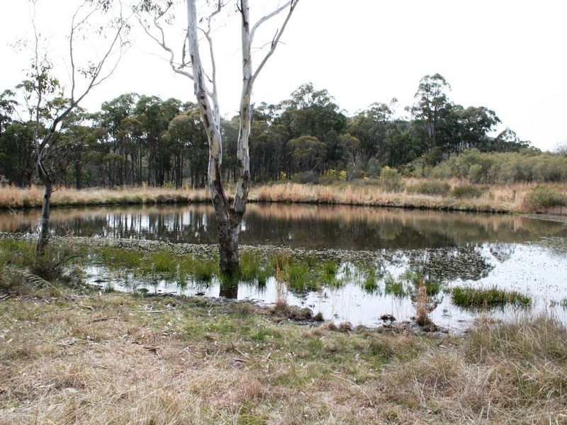 426 Yarraford Road, Dundee NSW 2370