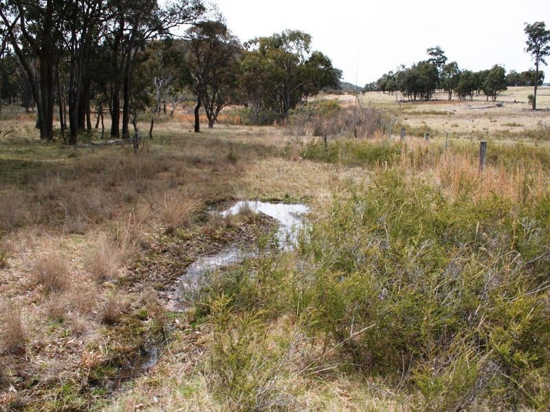 426 Yarraford Road, Dundee NSW 2370
