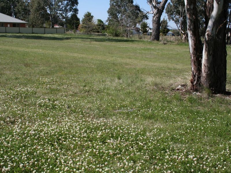Abbott Street, Glen Innes NSW 2370