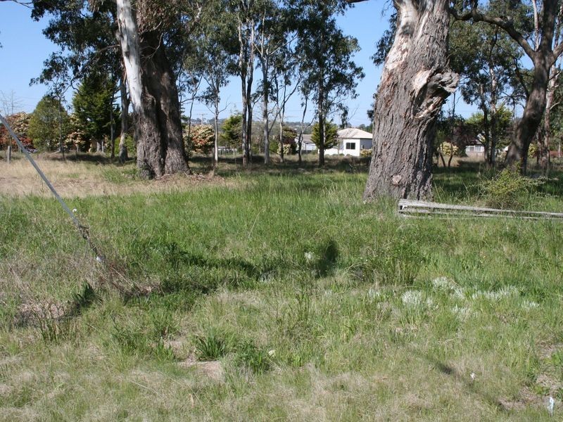 Abbott Street, Glen Innes NSW 2370