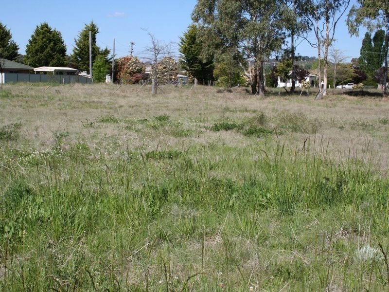 Abbott Street, Glen Innes NSW 2370
