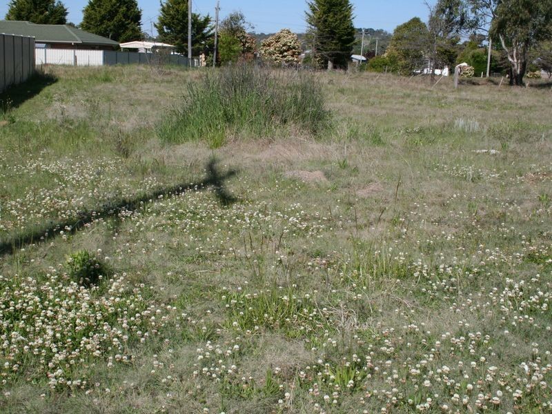 Abbott Street, Glen Innes NSW 2370