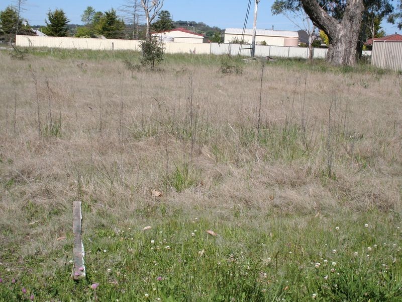 Abbott Street, Glen Innes NSW 2370