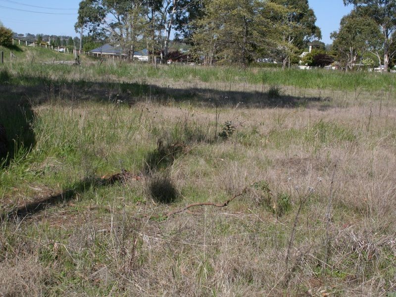 Abbott Street, Glen Innes NSW 2370