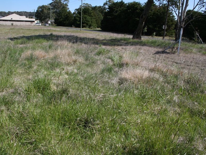 Abbott Street, Glen Innes NSW 2370