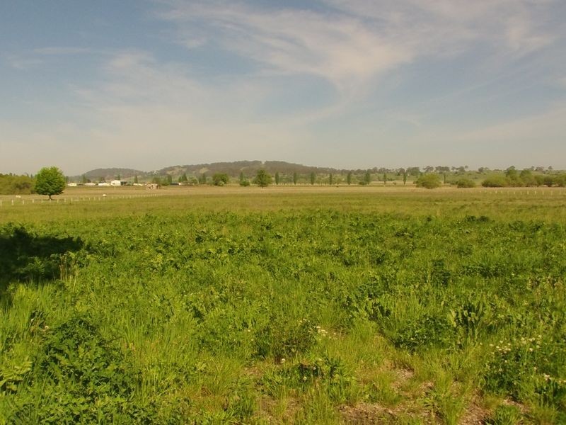 354 Grey Street, Glen Innes NSW 2370