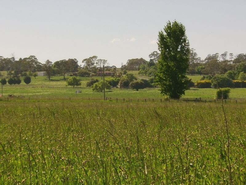 354 Grey Street, Glen Innes NSW 2370