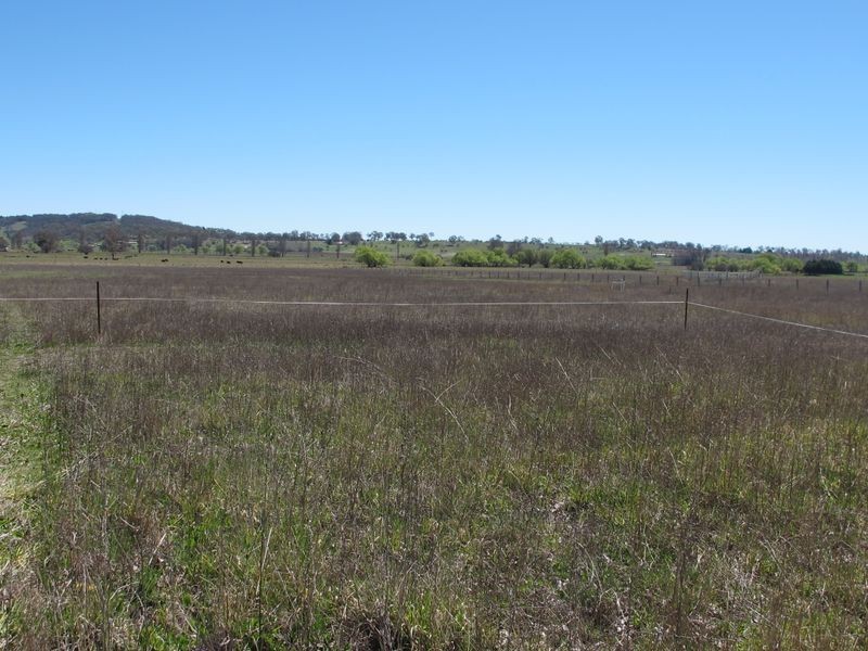 354 Grey Street, Glen Innes NSW 2370