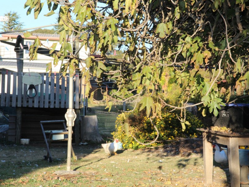 280 Meade Street, Glen Innes NSW 2370