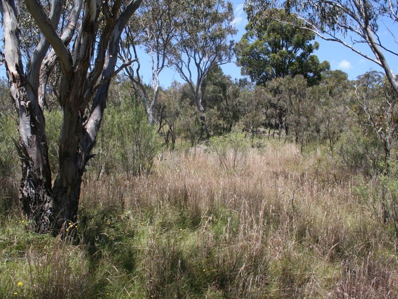 598 Yarraford Raod, Glen Innes NSW 2370