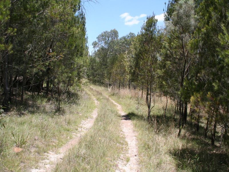 598 Yarraford Raod, Glen Innes NSW 2370