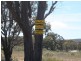 598 Yarraford Raod, Glen Innes NSW 2370